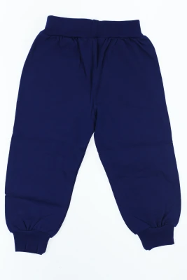 Штани спортивні трикотажні Jaxon сині