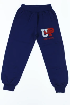 Штани спортивні трикотажні "UP" сині