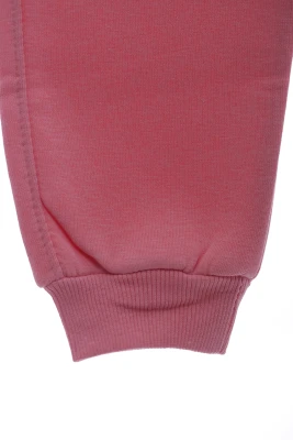 Штани на флісі для дівчинки з метеликом пудрові