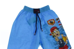 бриджі Баскетбол