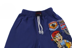 бриджі Баскетбол