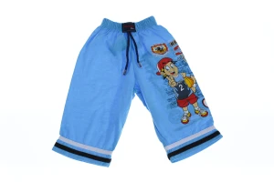 бриджі Баскетбол