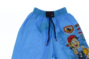 бриджі Баскетбол