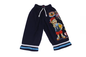 бриджі Баскетбол