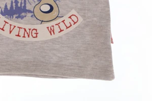 Водолазка для хлопчика трикотажна Northern сіра