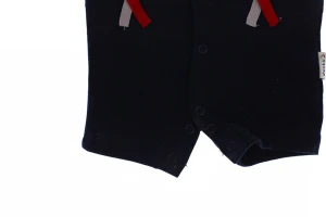 Пісочник Моряк