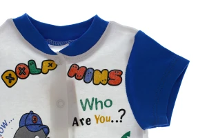 Пісочник Дельфін