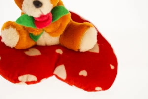 Собачка з Розою