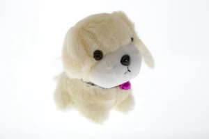 Собачка з нашийником