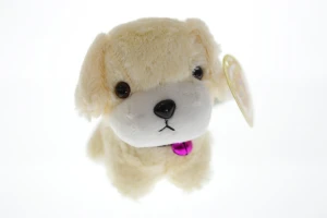 Собачка з нашийником