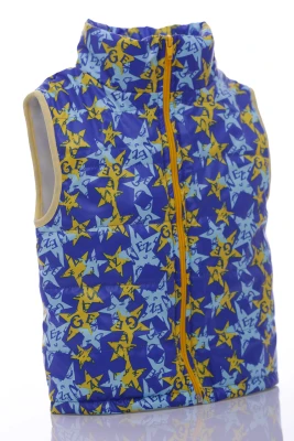 Жилетка для хлопчика на флісі Babykroha в Зірки синя